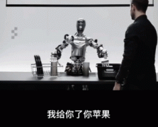 65万的H1型机械人（咱太奶）和9万9的G1型机械人（